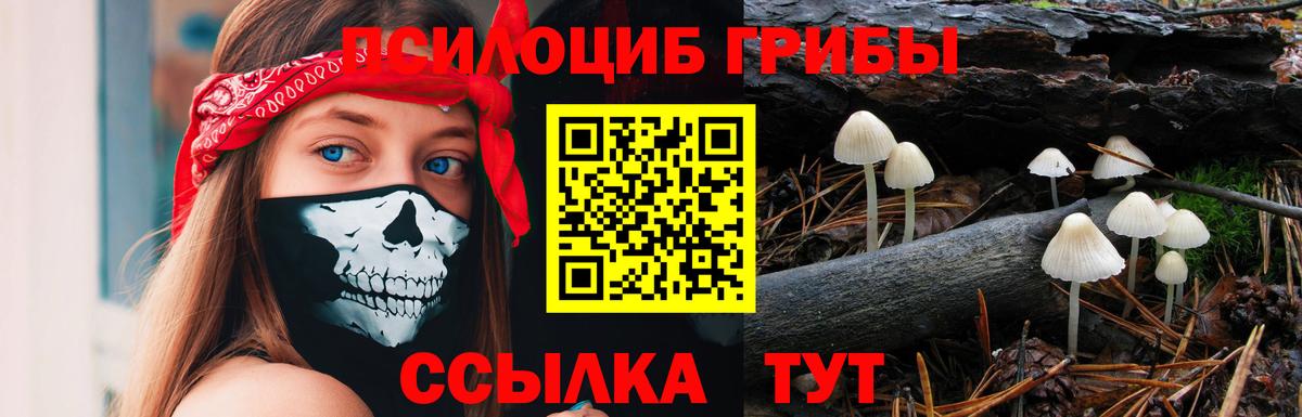 Галлюциногенные грибы MAGIC MUSHROOMS Черногорск